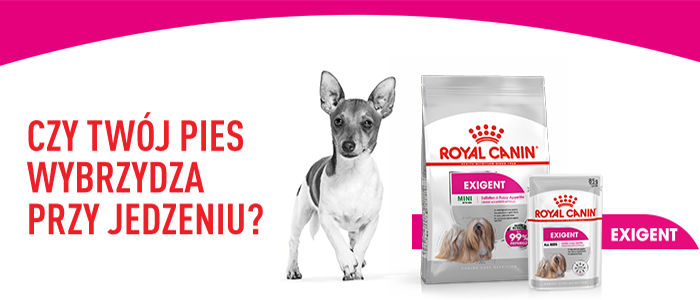 ROYAL CANIN CCN Mini Exigent karma sucha dla psów dorosłych, ras małych, wybrednych 3 kg